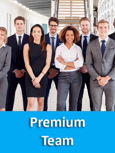 Preferred Pro Team Premium Team – Previews Network